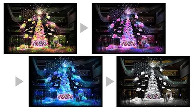 メインクリスマスツリー『Timeless Blossom』　＜ライティングショーのイメージ＞