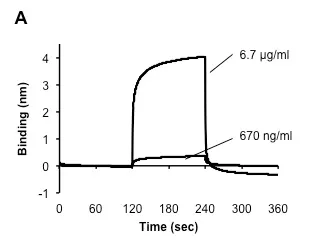 実験(A)バイオレイヤー干渉法