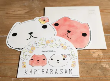 ペーパーアイテムイメージ