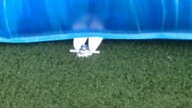 エアー遊具　設置