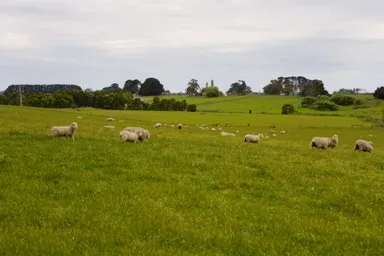 オーストラリア