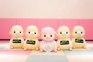 「アルパカ広場」オリーチェバージョン