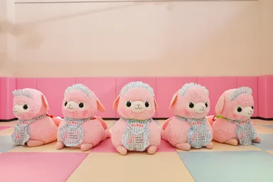 「アルパカ広場」新生姜バージョン(通常)