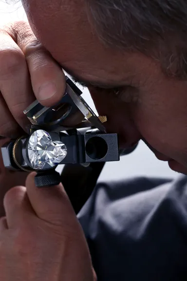 ザ・グラフ ヴィーナス