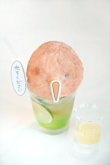 ウォンバットさんたちカフェ