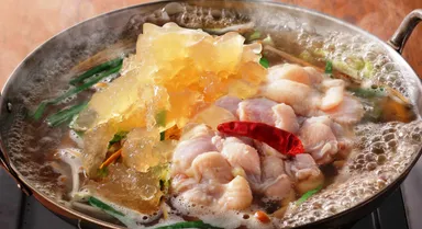 プリプリで脂がのった鶏手羽元肉のみを使用「高知産 四万十鶏鍋」