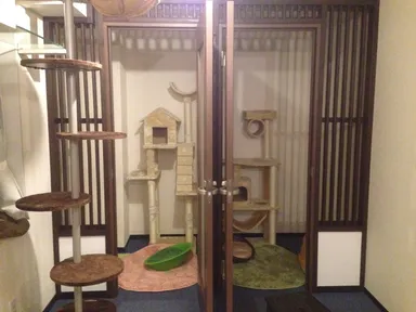 ねこさんデラックスルーム「A」「B」