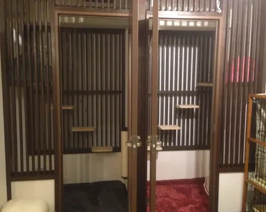 ねこさんデラックスルーム「C」「D」