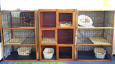 ねこさんスタンダードルーム