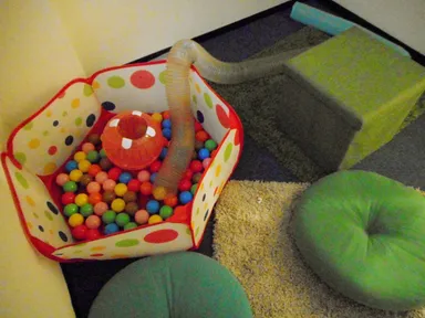 フェレットフリースペース