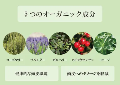 5つのオーガニック成分配合