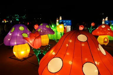 「光の国のアリス」イメージ4