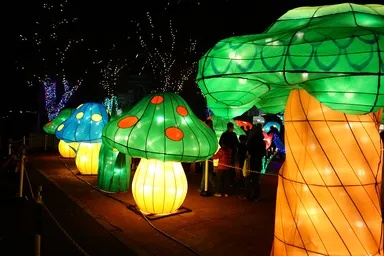 「光の国のアリス」イメージ5