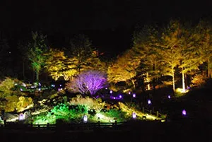 高橋匡太　Glow with Night Garden Project in ROKKO　提灯行列ランドスケープ