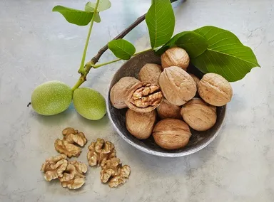 くるみ イメージ