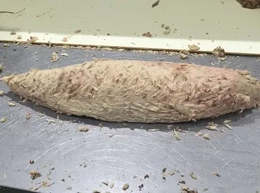 クリーニング後