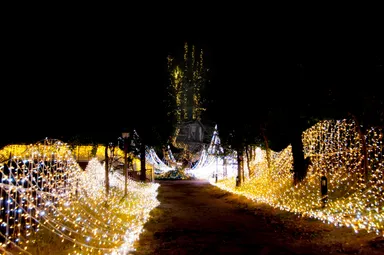 ゴールドガーデン