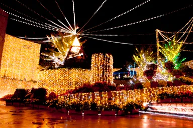 クリスタルガーデン