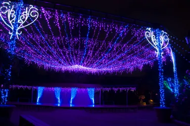 スターライトガーデン