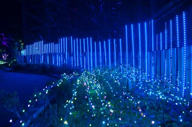 アンサンブルガーデン