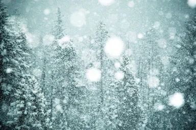 パタゴニア リ＼＼＼コレクション(Photo：Boone Speed)