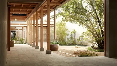 空の森クリニック