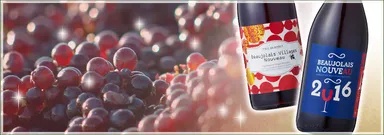 ボージョレ・ヌーヴォ　ブドウ＆ワインボトル