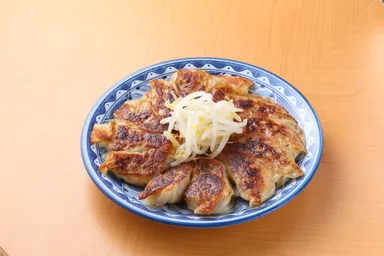 自家製手包みぎょうざ