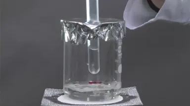 映像サンプル画像 4