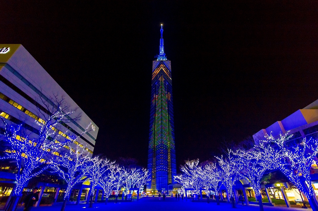 今年は新演出も登場 福岡タワーに全長108mのクリスマスツリーが点灯 ももち ブルーライトイルミネーション16 同時開催 福岡タワー株式会社のプレスリリース