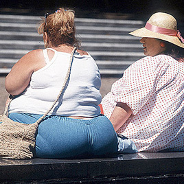太った女性を褒め称える国トップ１０ Microdiet Netレポート サニーヘルス株式会社のプレスリリース