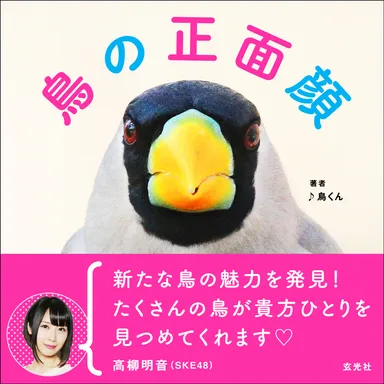 『鳥の正面顔』表紙