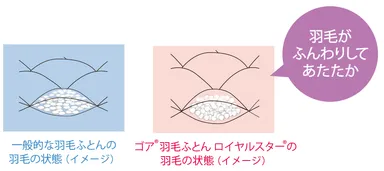 羽毛の空気をたっぷり含む