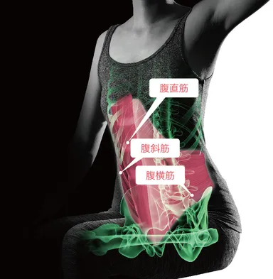 FF-100でトレーニングする筋肉