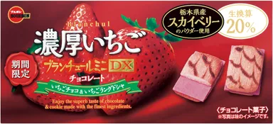 ブランチュールミニDX濃厚いちごチョコレート