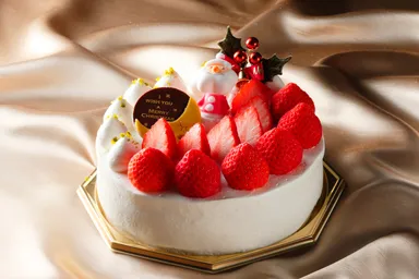 クリスマスケーキ「フレジエ」イメージ