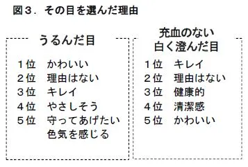 図3．その目を選んだ理由