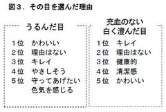 図3．その目を選んだ理由
