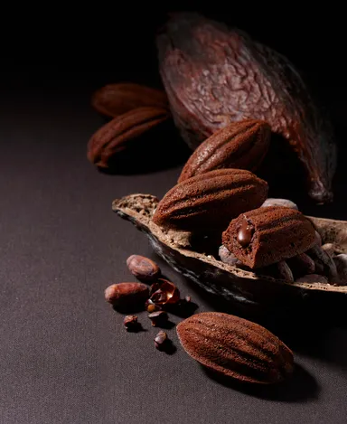 大地のカカオケーク 1