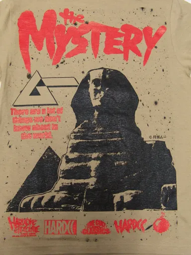 月刊ムー 超不思議建築物-スフィンクス-(ファラオカーキ) 3