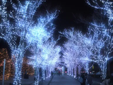 昨年実施した公開空地のイルミネーション