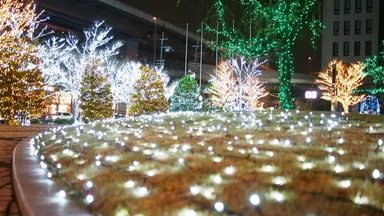 昨年実施した公開空地のイルミネーション