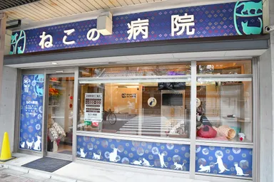 『動物病院京都　ねこの病院』