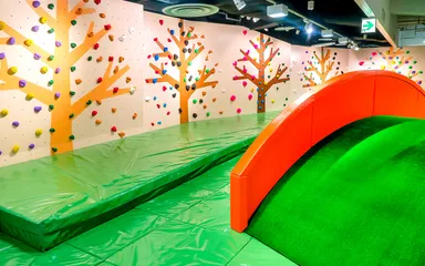 マウンテンエリア