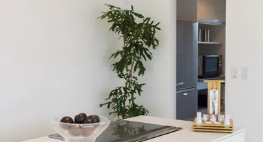 家族の集まるリビングで神様と一緒に過ごせる神棚