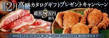 12月高級カタログギフトプレゼントキャンペーン