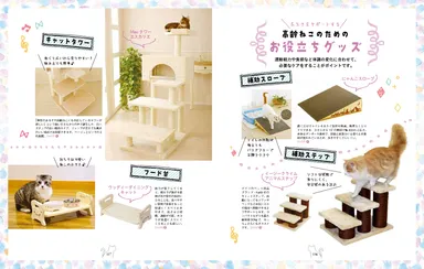 高齢ねこのためのお役立ちグッズ