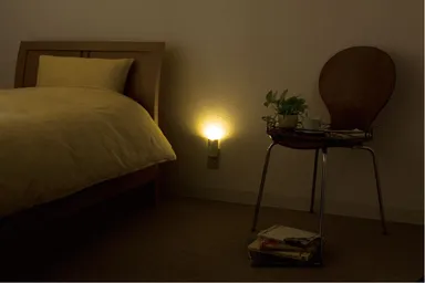 夜間点灯時 イメージ