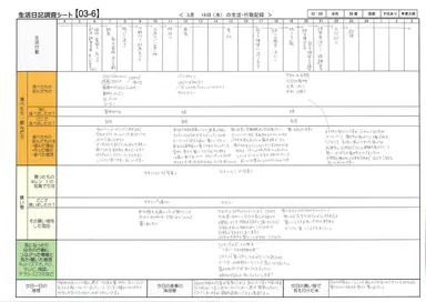 筆記式調査シート(モニターA)