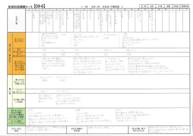 筆記式調査シート(モニターB)